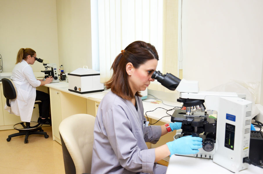 Microbiology Lab