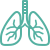 pulmonary department icon
