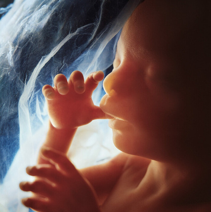 Fetal Medicine Unit